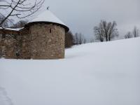 20250112_133655 (1024x768).jpg